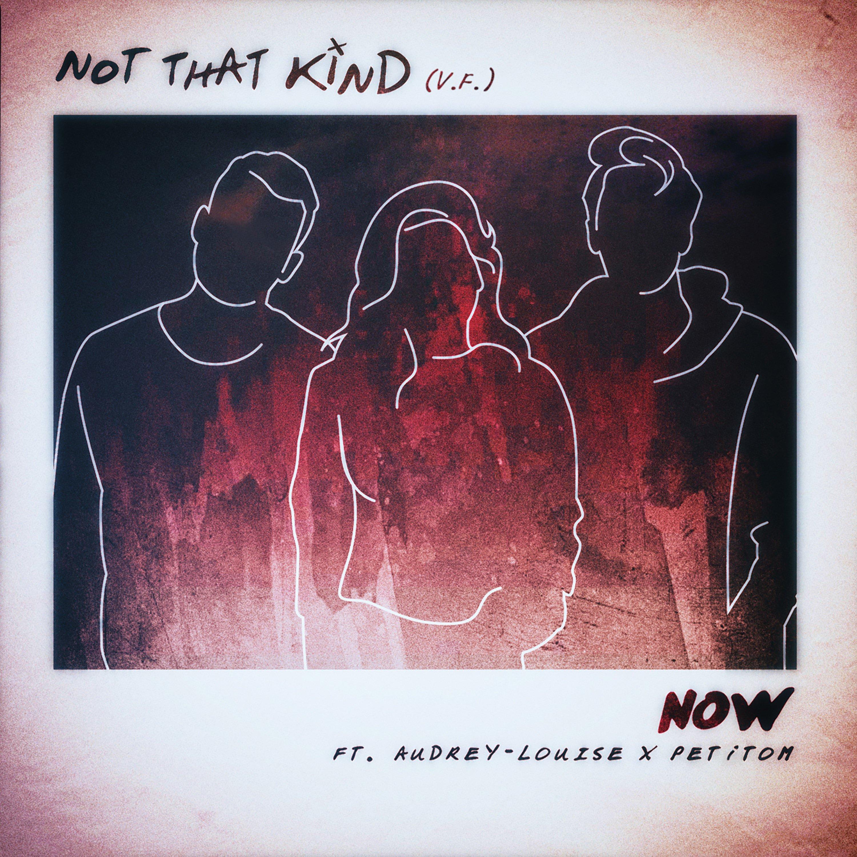 Not That Kind (feat. Audrey-Louise & PETiTOM) - Single (VF)
