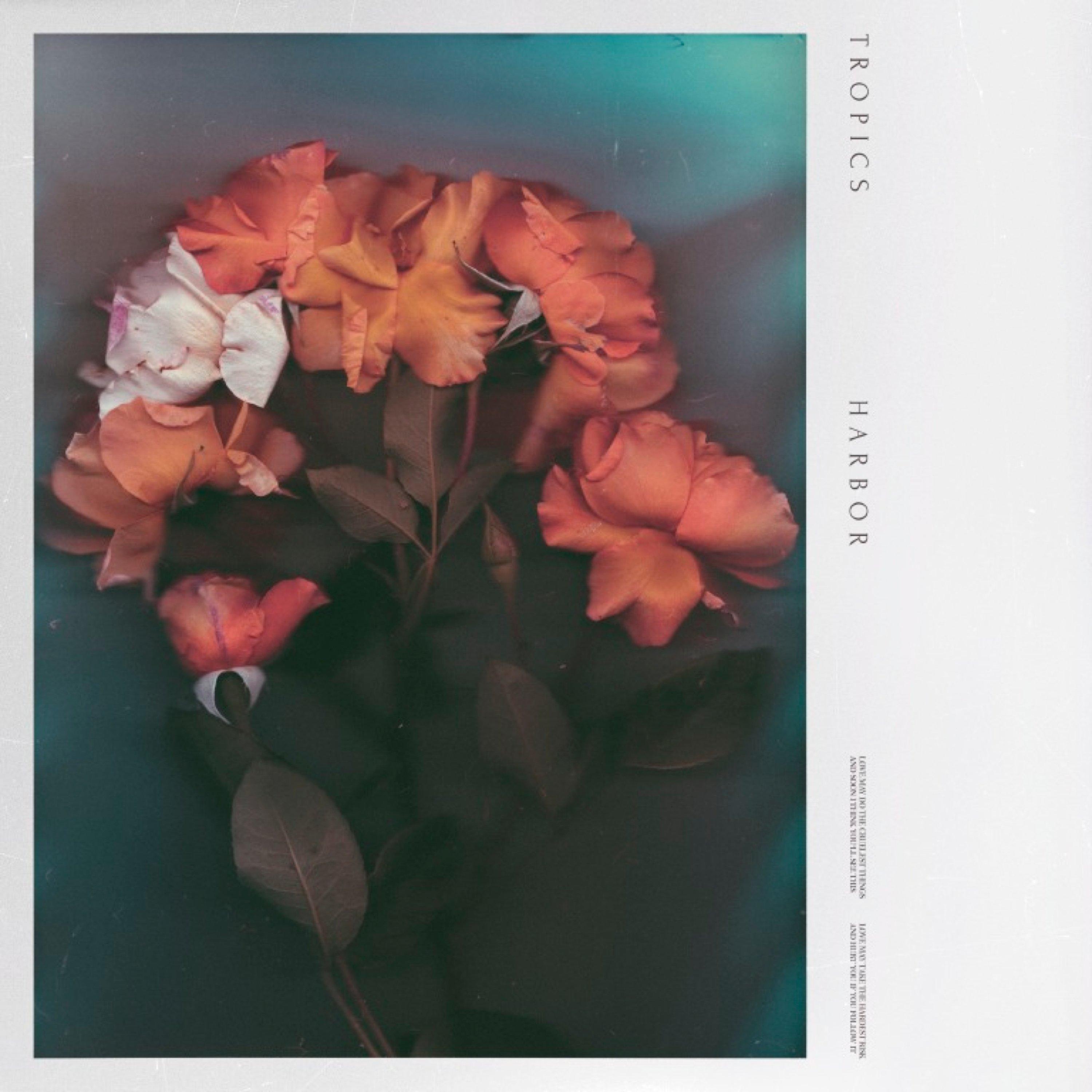 Harbor - Single