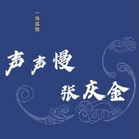 张庆金 - 声声慢伴奏(原版伴奏)
