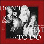 Don't Know What To Do（翻自 black pink）