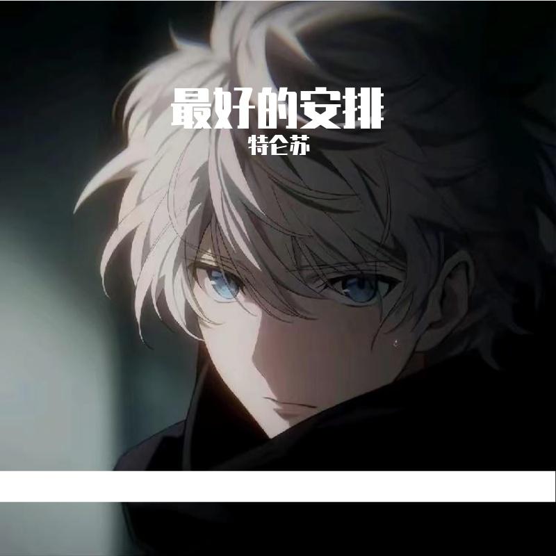 最好的安排