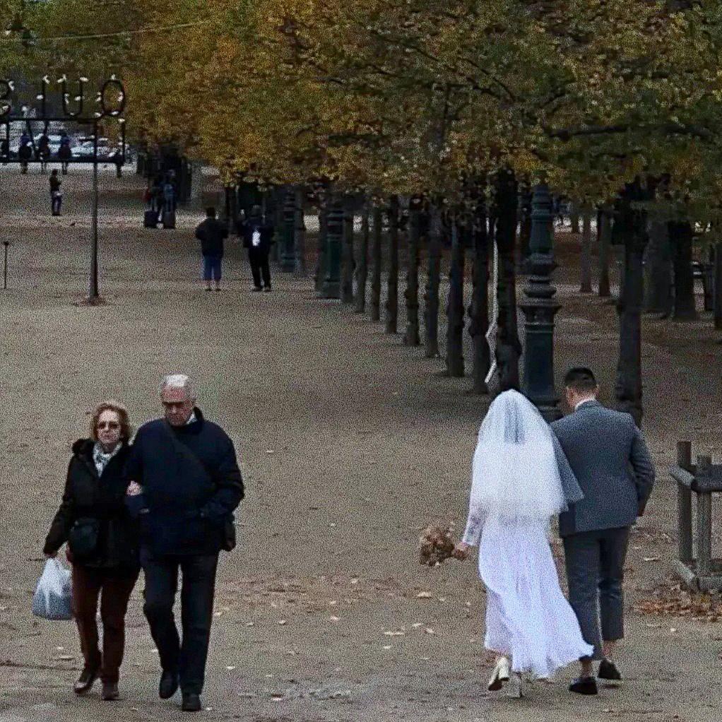 Alan Walker-Faded (Martin Haber Edit)（鹿先生Music remix）