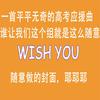 零诺Zero - Wish You（翻自 KBShinya）