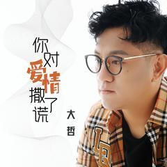 你对爱情撒了谎