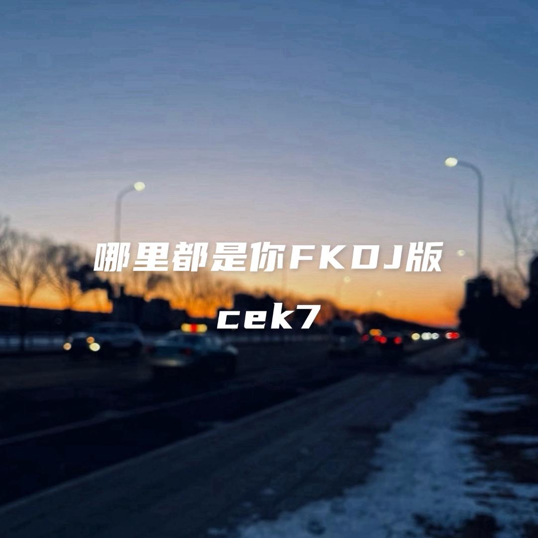 cek7 - 哪里都是你FKDJ版