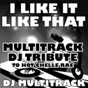 I Like It Like That (Multitrack DJ Tribute to Hot Chelle Rae)专辑