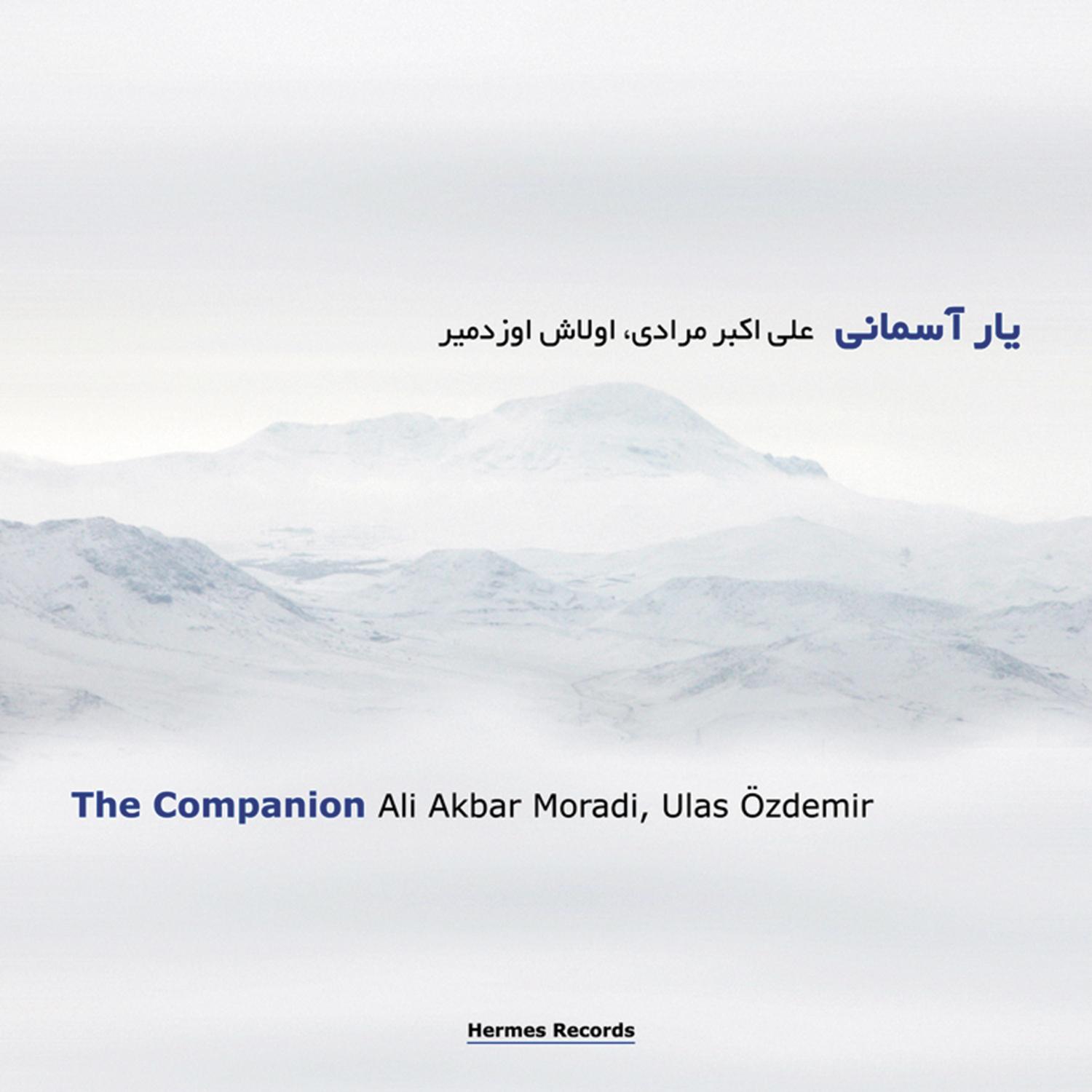 The Companion