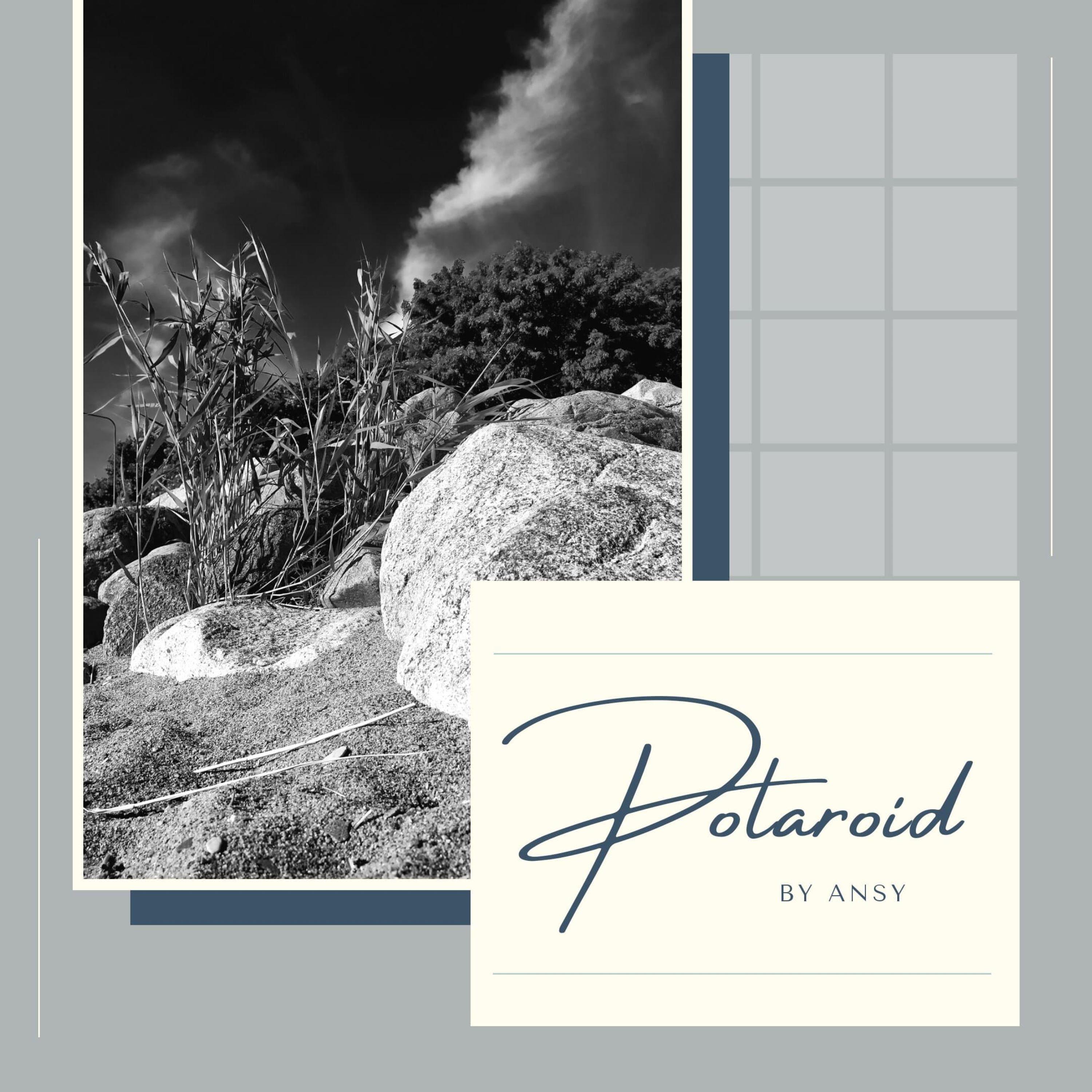 polaroid