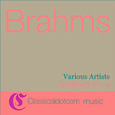 Johannes Brahms, Symphony No. 4 In E Minor, Op. 98