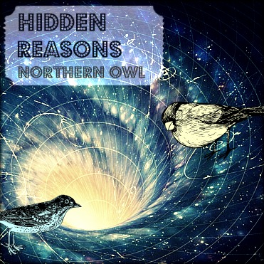 Hidden Reasons