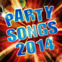 Party Songs 2014专辑