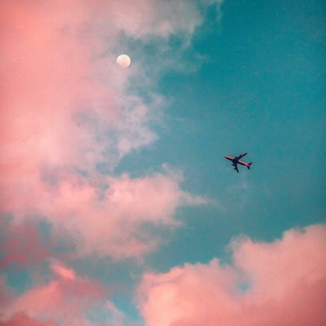 ❥大 概 叫 幸 福