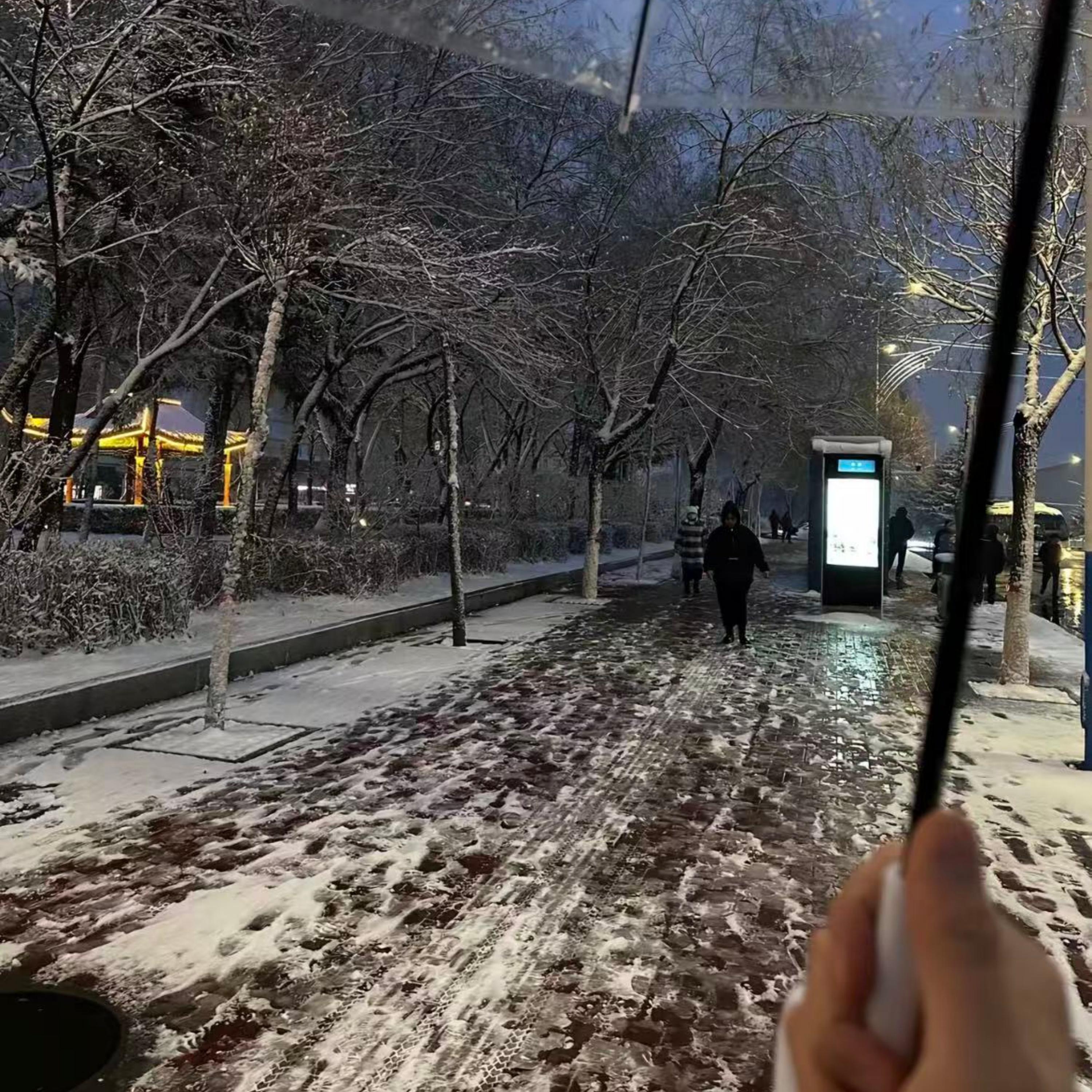 我述我不论平仄或正格