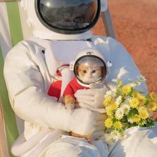 神把黑暗中跳舞的心脏叫做月亮