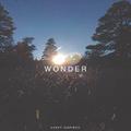 Wonder