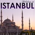 Holidays in Istambul. Sounds of Turkey