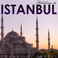 Holidays in Istambul. Sounds of Turkey