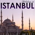 Holidays in Istambul. Sounds of Turkey专辑