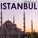 Holidays in Istambul. Sounds of Turkey专辑