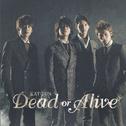 Dead or Alive 【通常盤】
