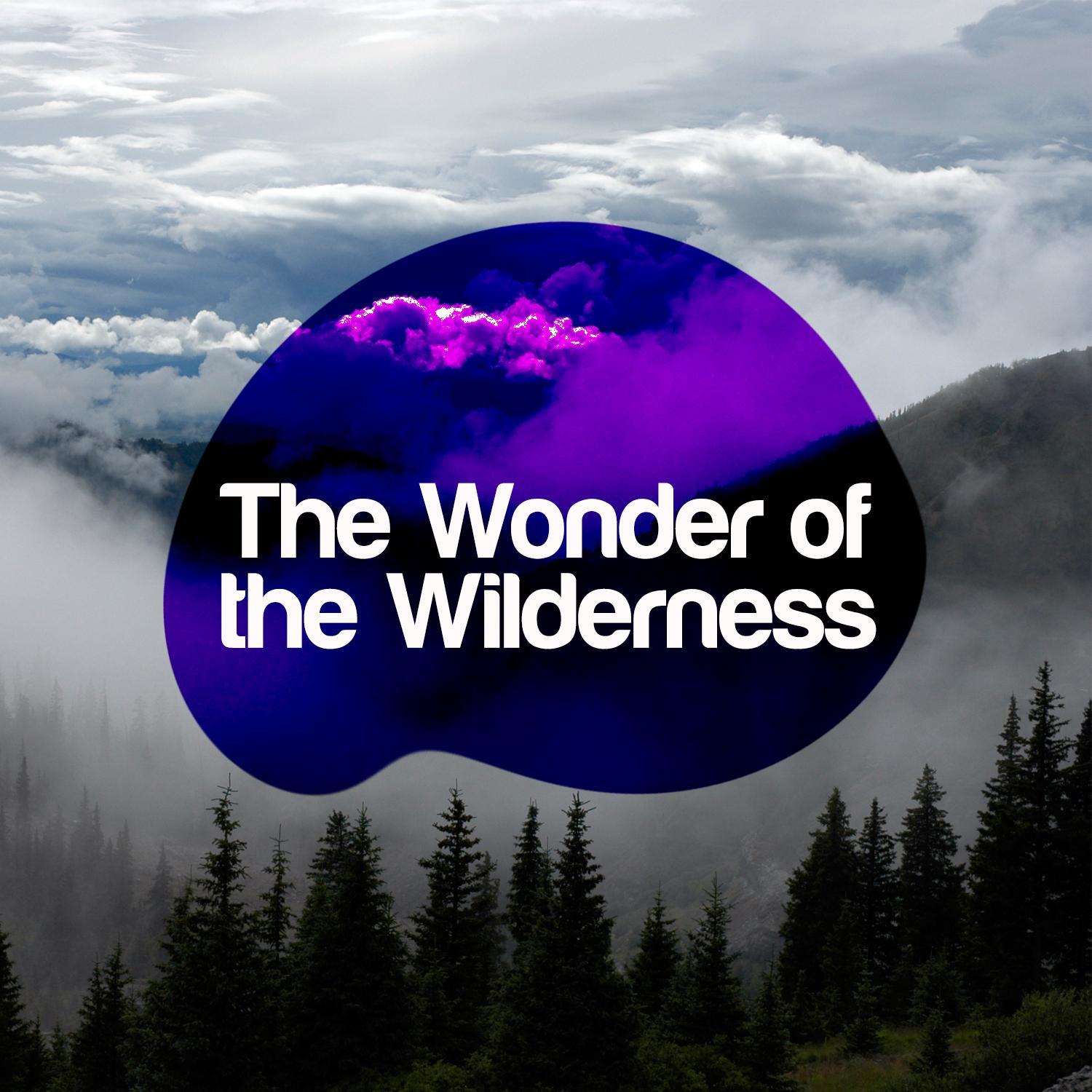The Wonder of the Wilderness