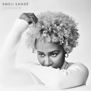 Emeli Sandé-Sparrow 伴奏 （升5半音）