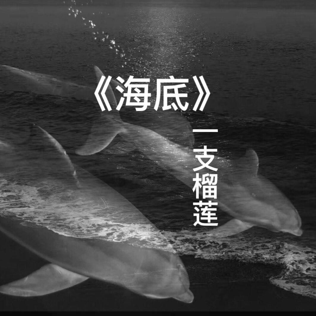 貅貅 - 海底（翻自一支榴莲）