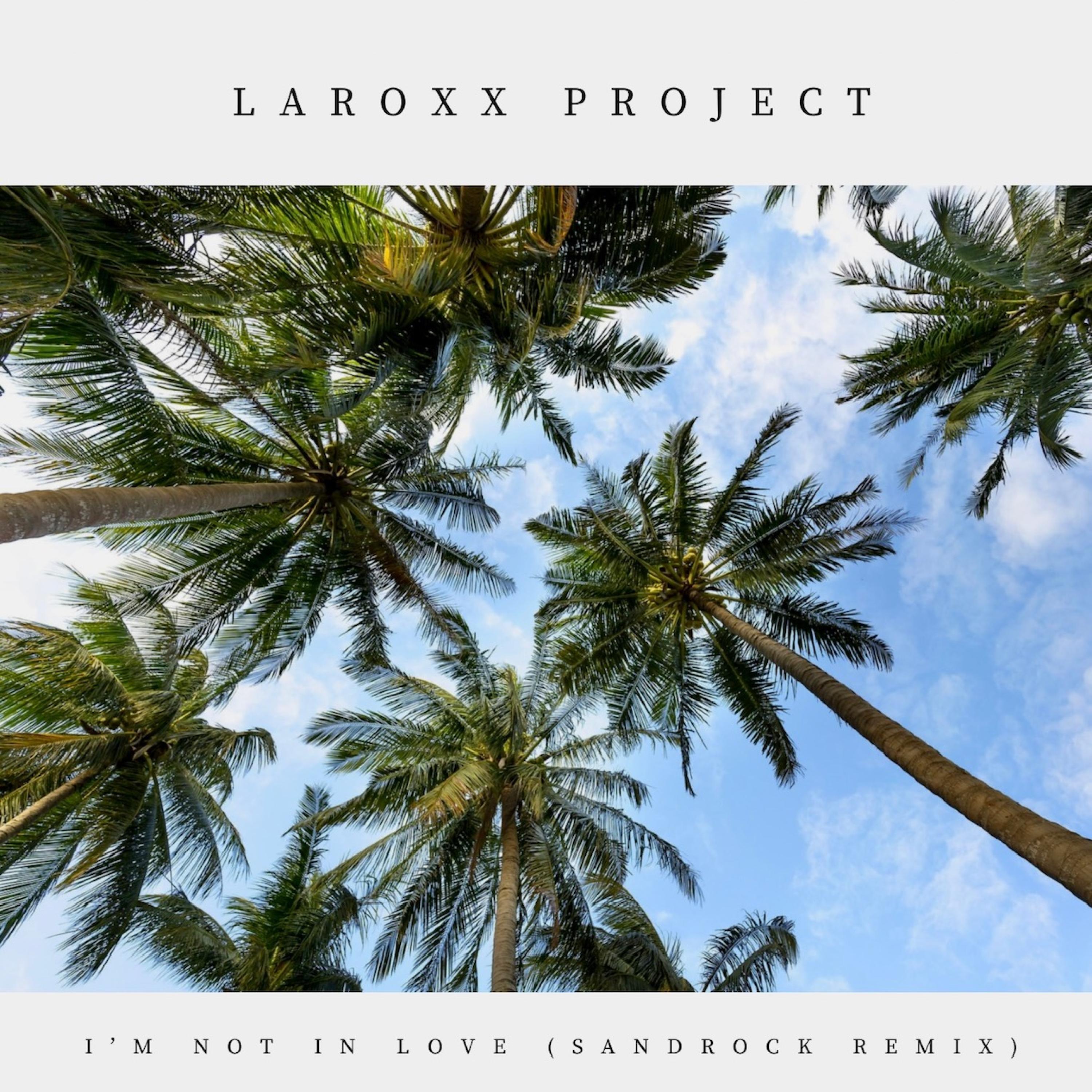 I'm Not In Love (SandRock Remix) (SandRock Remix)