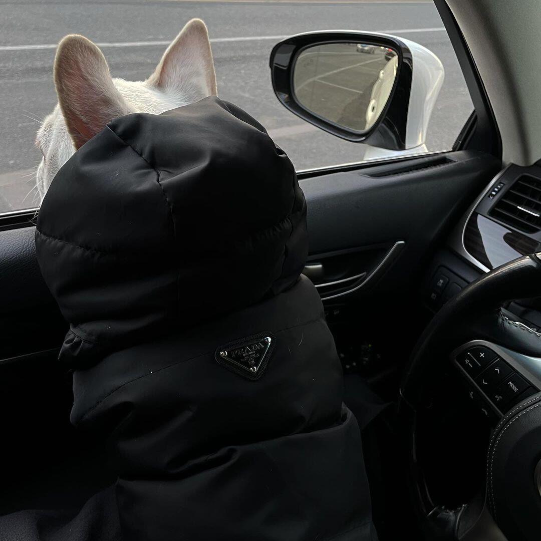 Justin Bieber - Stay (Fz Remix)