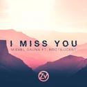 I Miss You (Zero Venture Remix)