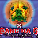 Gang Ha G (mandoo.ver)专辑