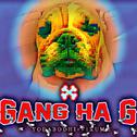 Gang Ha G (mandoo.ver)专辑