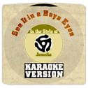 See It in a Boys Eyes (In the Style of Jamelia) [Karaoke Version] - Single专辑