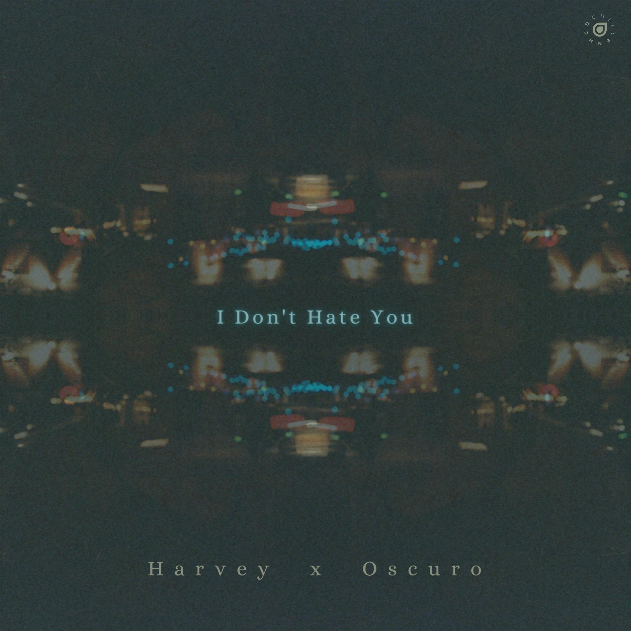 I Don't Hate You