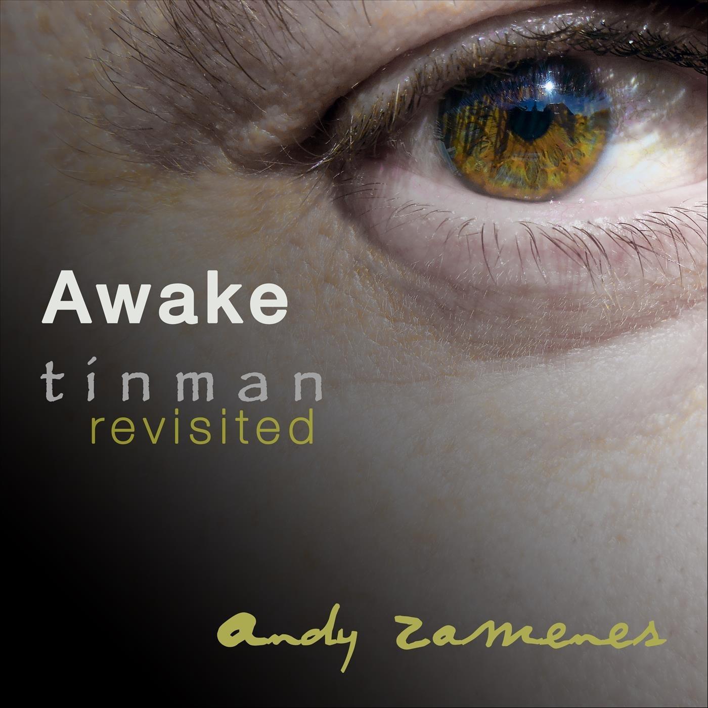 Awake (feat. Tinman)