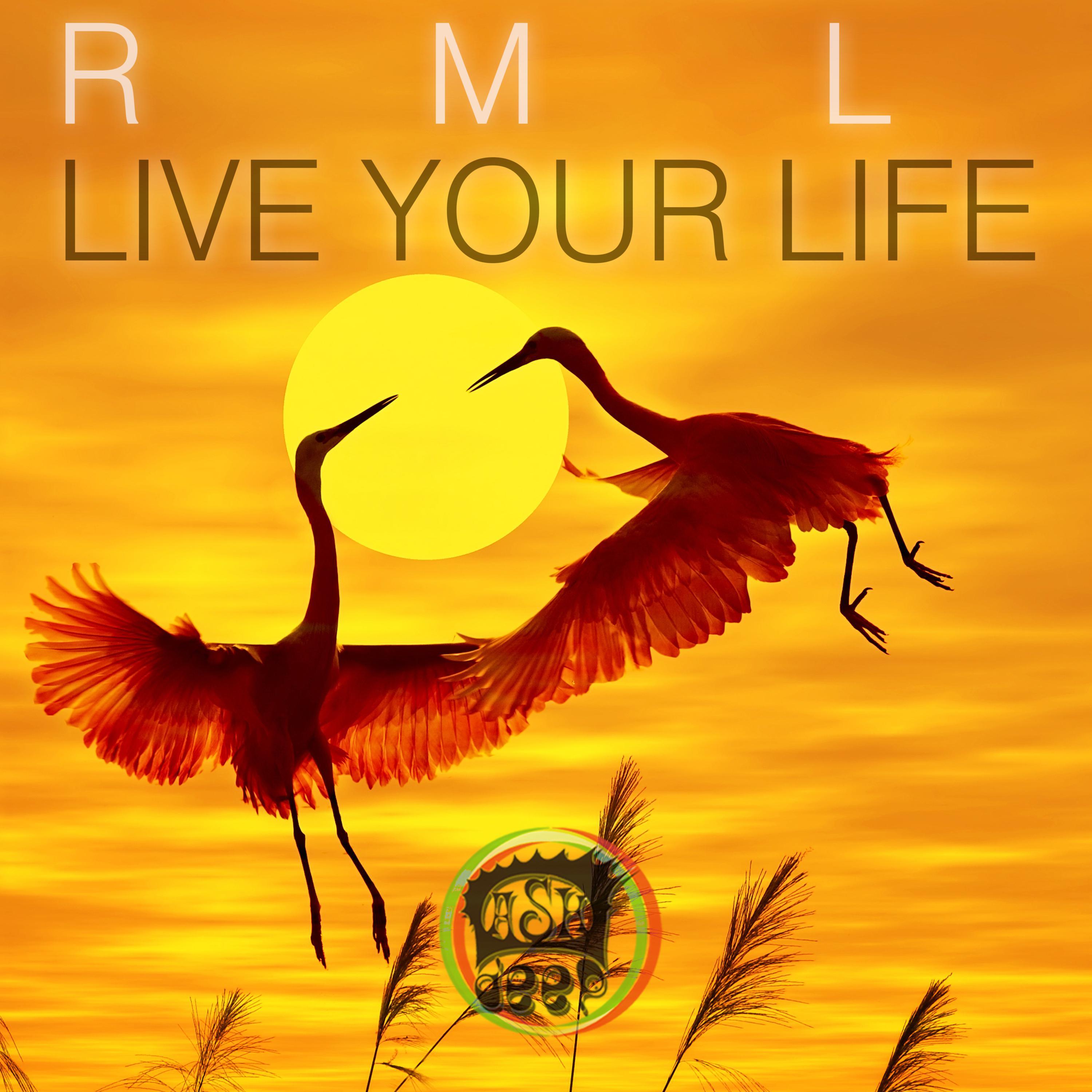 Live Your Life