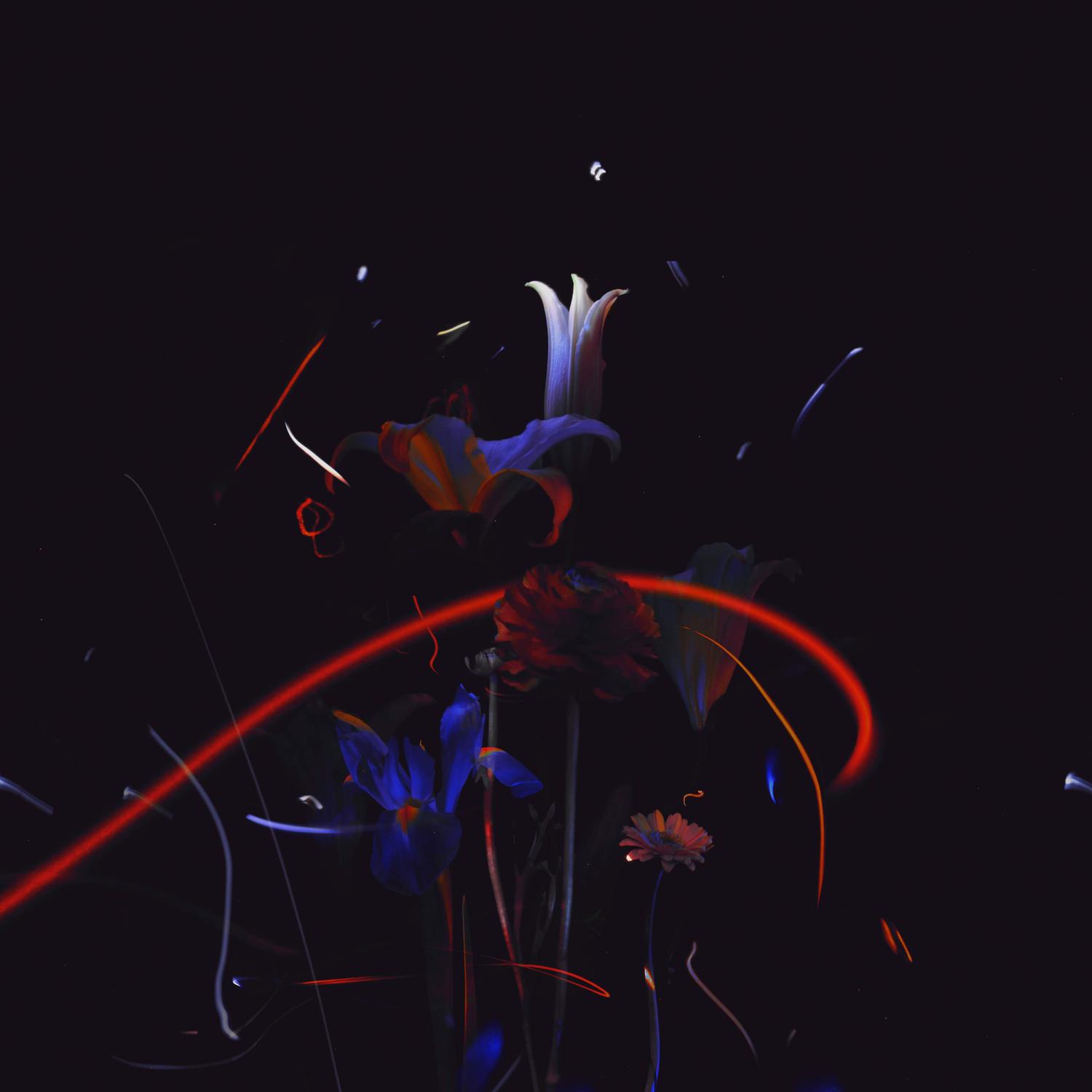 Vita Nova
