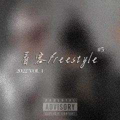 看客Freestyle（Prod by MEGA）