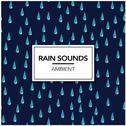 Rain Sounds & Ambience专辑