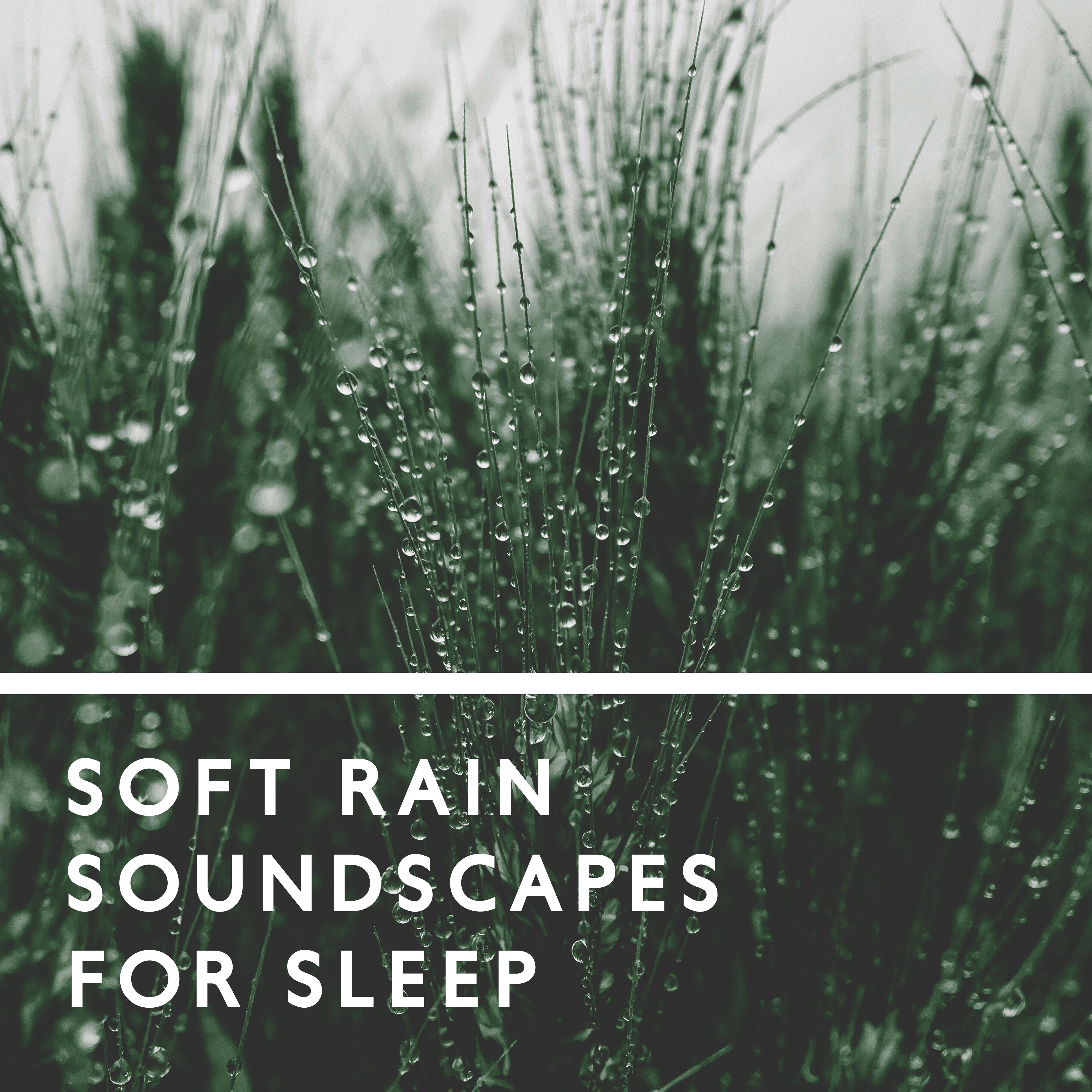 Soft Rain Soundscapes for Sleep