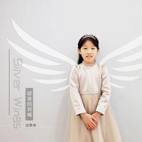 杨雯博 - 银色的翅膀