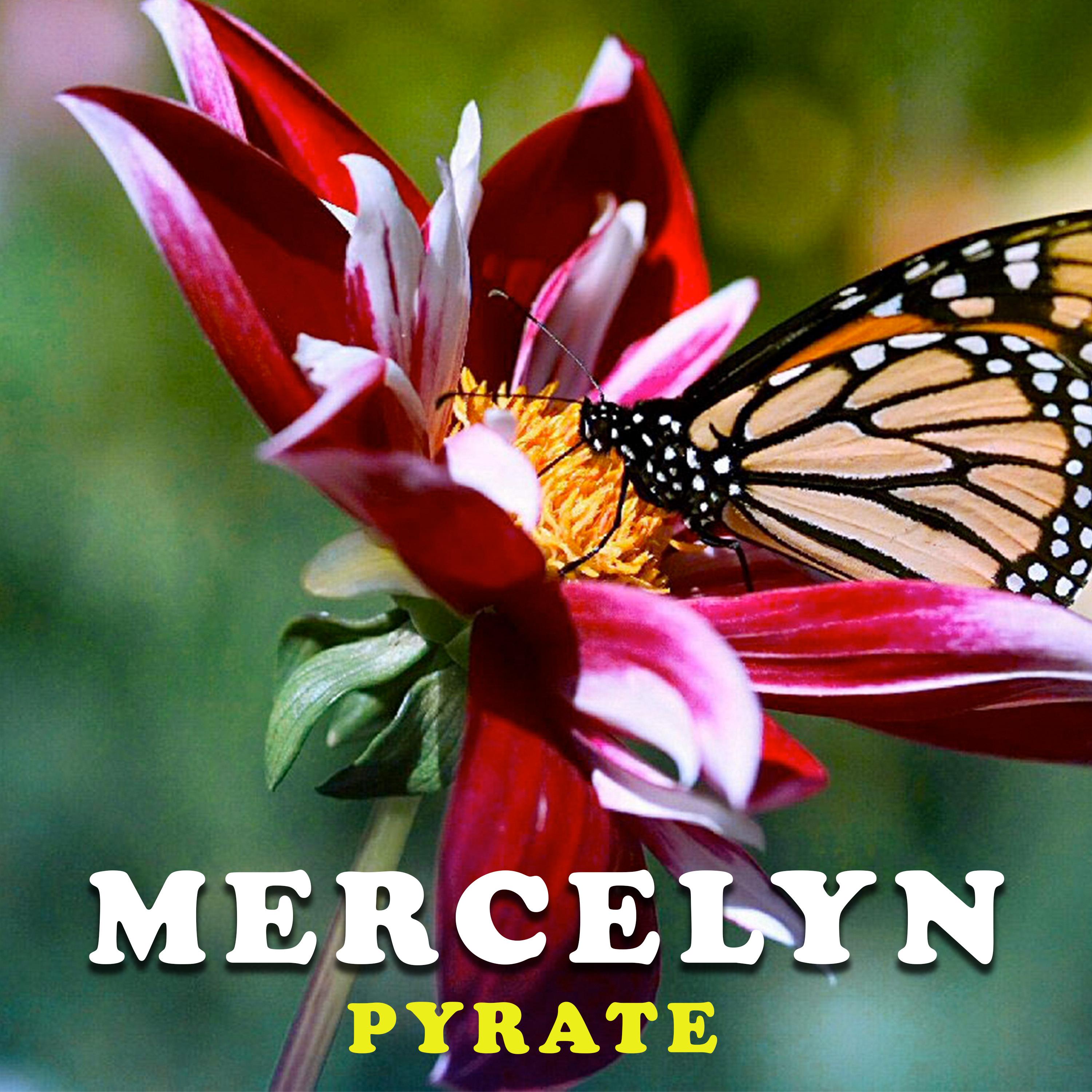 Pyrate - Mercelyn