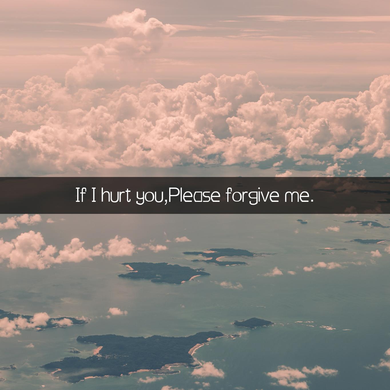 If I hurt you,Please forgive me.专辑