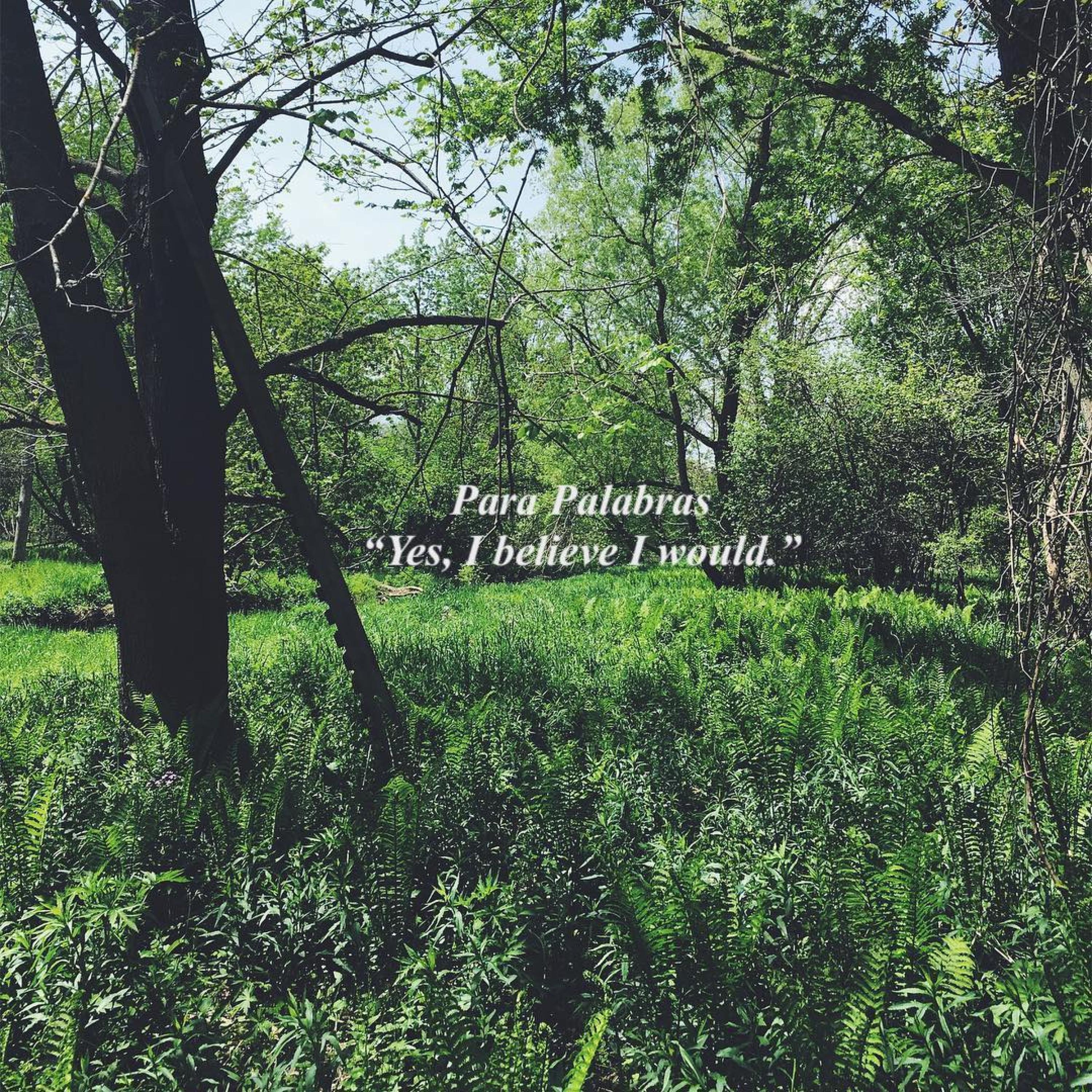 Yes, I Believe I Would.