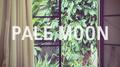 Pale Moon专辑