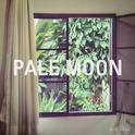 Pale Moon专辑