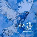 杜鹃