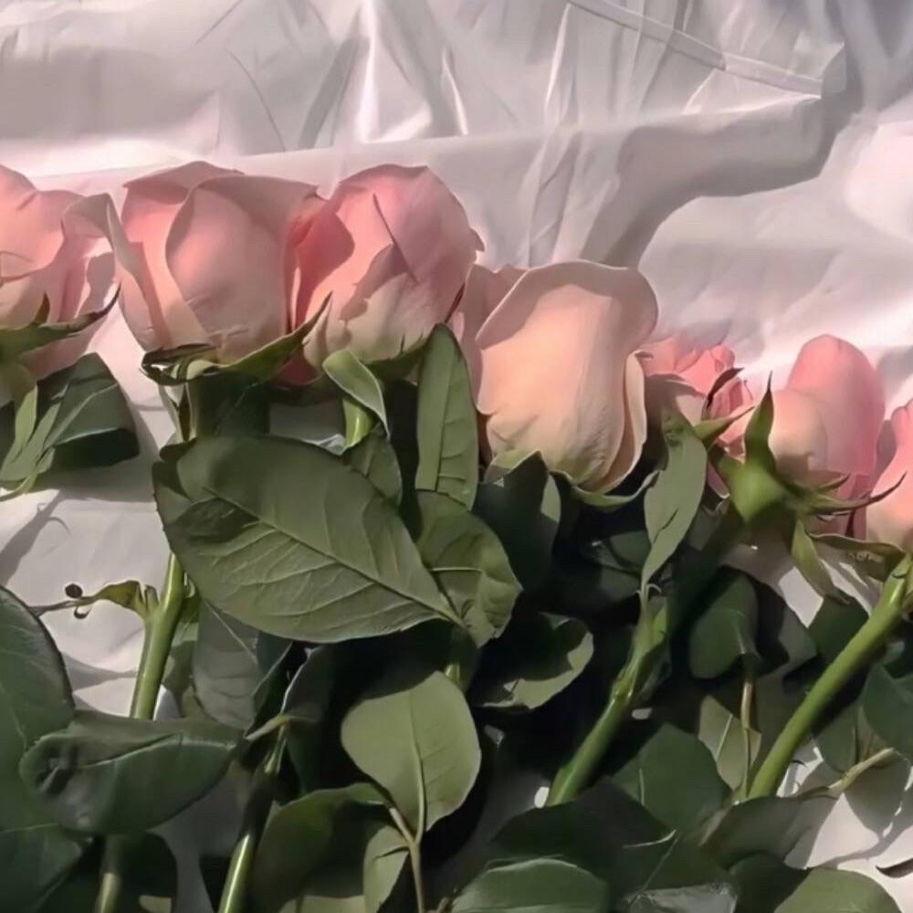 《总有一天你会出现在我身边》 Cover棱镜乐队