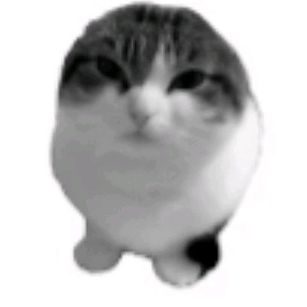 Surround Sound & GALZXYPHER（21yxng remix）