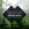 #18 Calm & Soft Monsoon Noises for Relaxation专辑